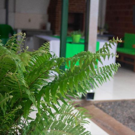 Helecho'S Hostal Hostel เอนการ์นาซิออน ภายนอก รูปภาพ