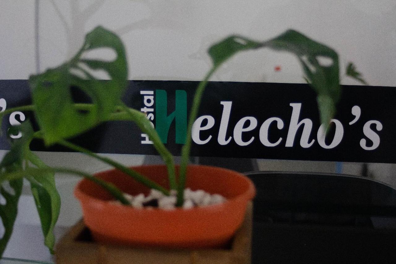 Helecho'S Hostal Hostel เอนการ์นาซิออน ภายนอก รูปภาพ