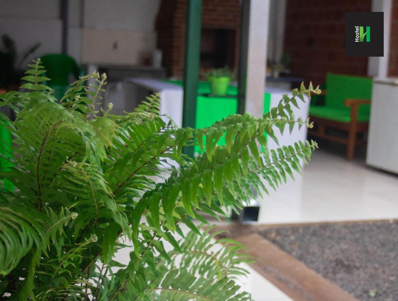 Helecho'S Hostal Hostel เอนการ์นาซิออน ภายนอก รูปภาพ